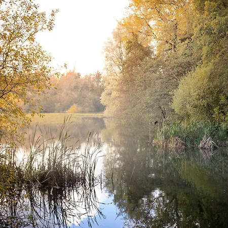 Rathescar Grove Bed & Breakfast 3*