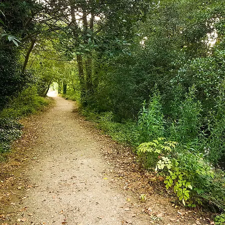 Rathescar Grove Frühstückspension Dun Leire
